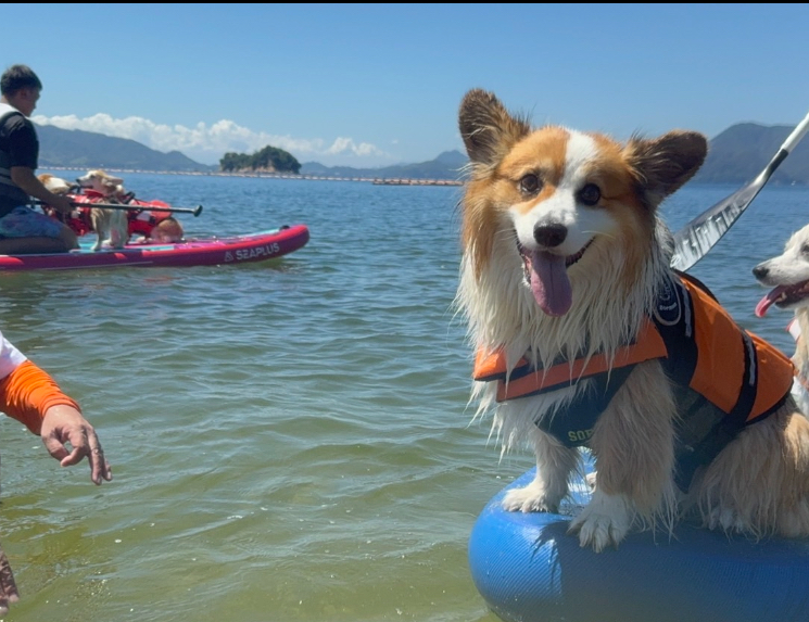 ポーランド空挺旅団セットレザボアイヌッズ 日本人クルー紹介： Saki Yamamoto-Uchida氏 Vol. 01 - 伝統航海カヌー