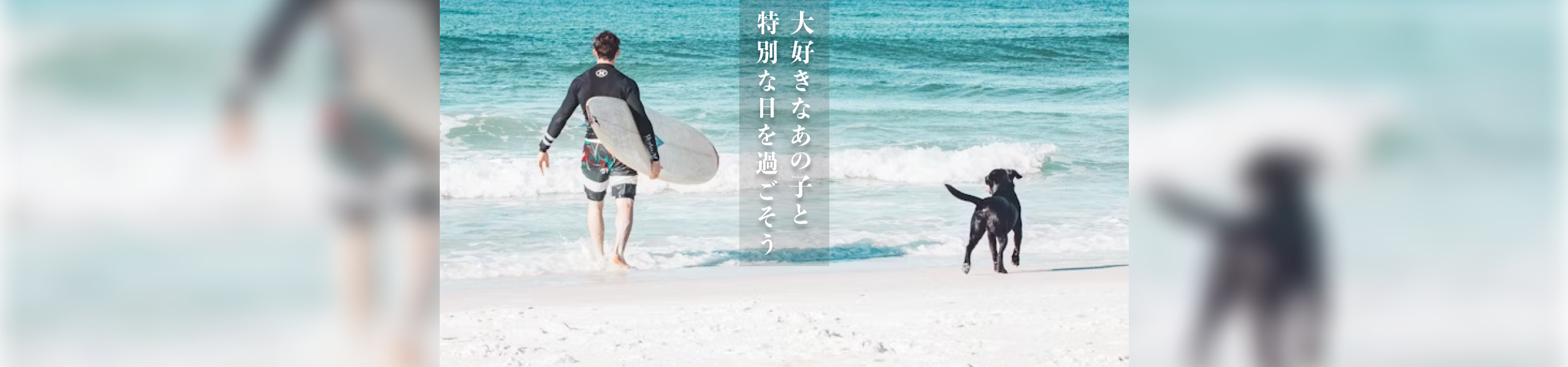 メインビジュアル