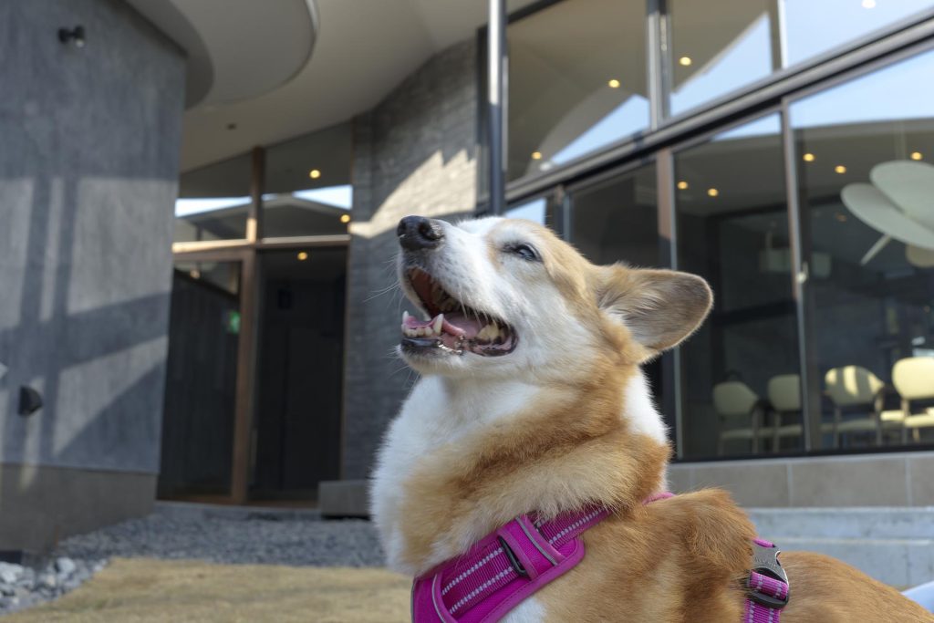 スライダー画像