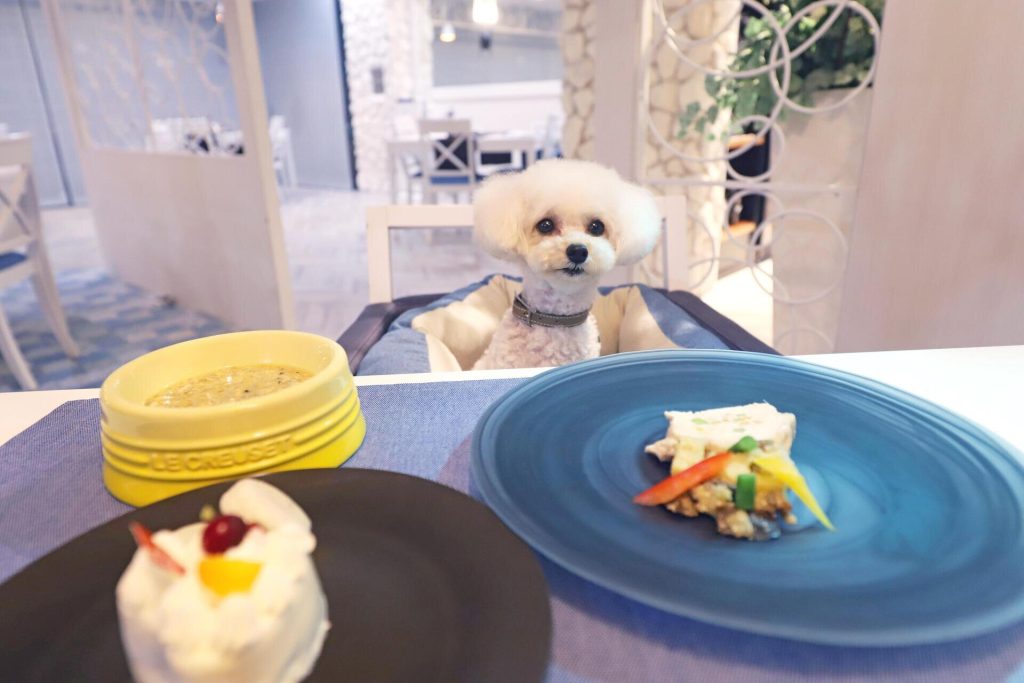 スライダー画像