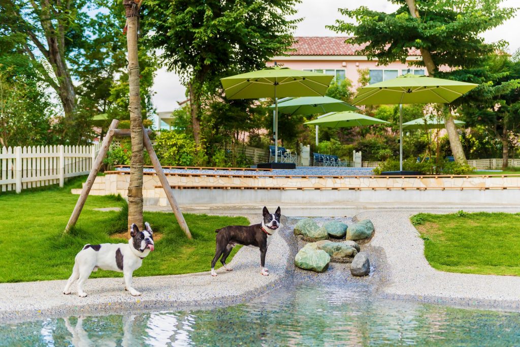 スライダー画像