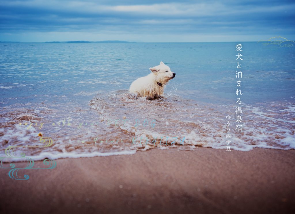 スライダー画像