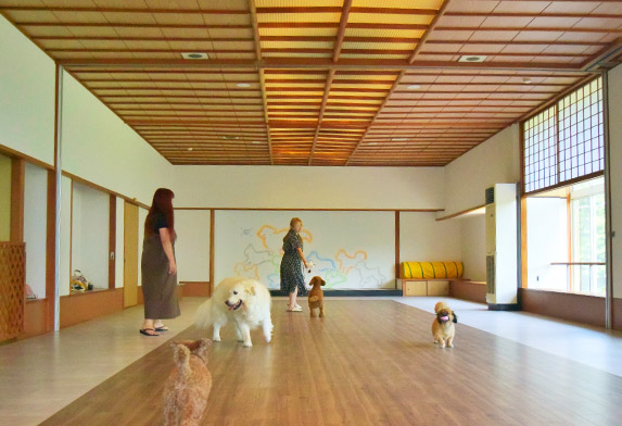 愛犬と楽しむ温泉旅館 修善寺 絆+