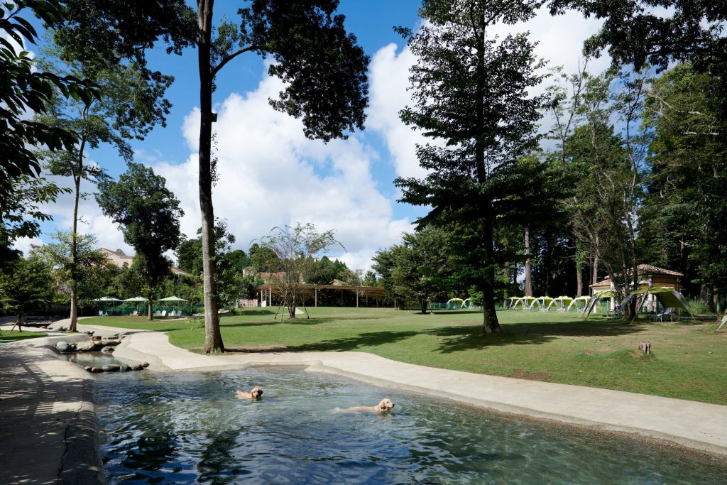 スライダー画像