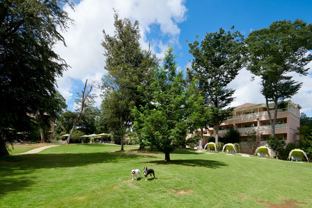 小谷流の里 ドギーズアイランド