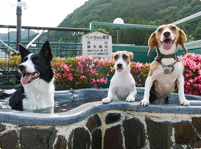 スライダー画像