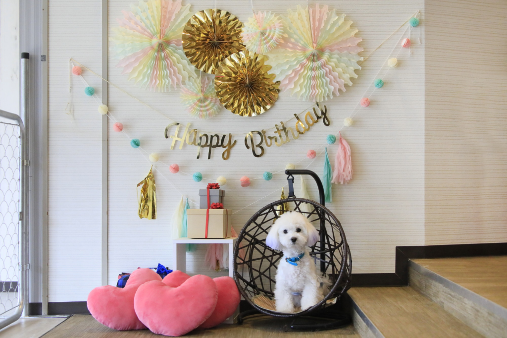 スライダー画像