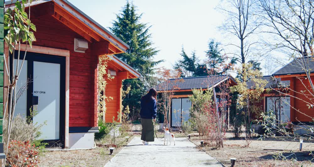 スライダー画像