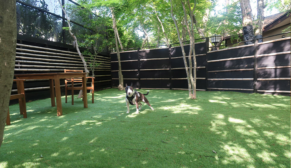 スライダー画像