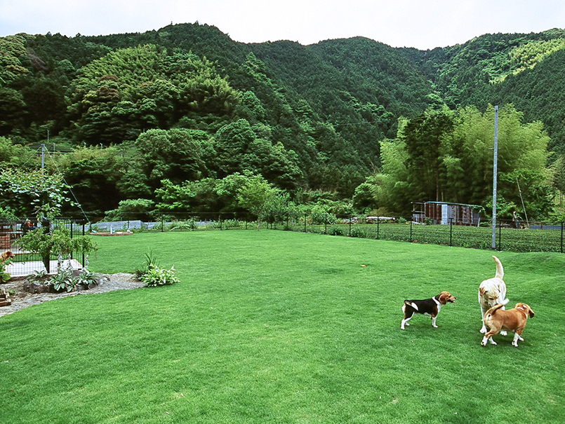 スライダー画像