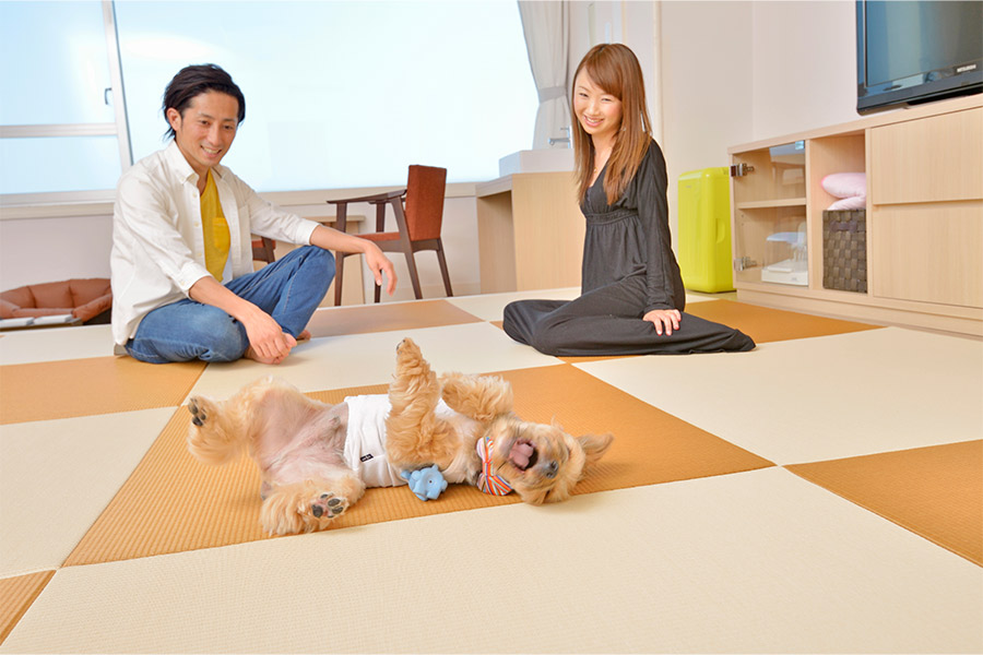 スライダー画像