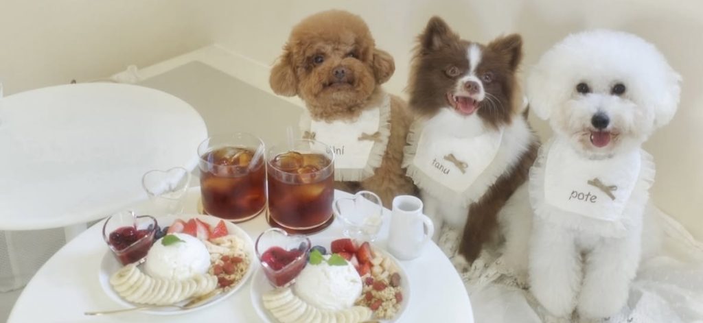 Greek Parlor (グリーク パーラー)