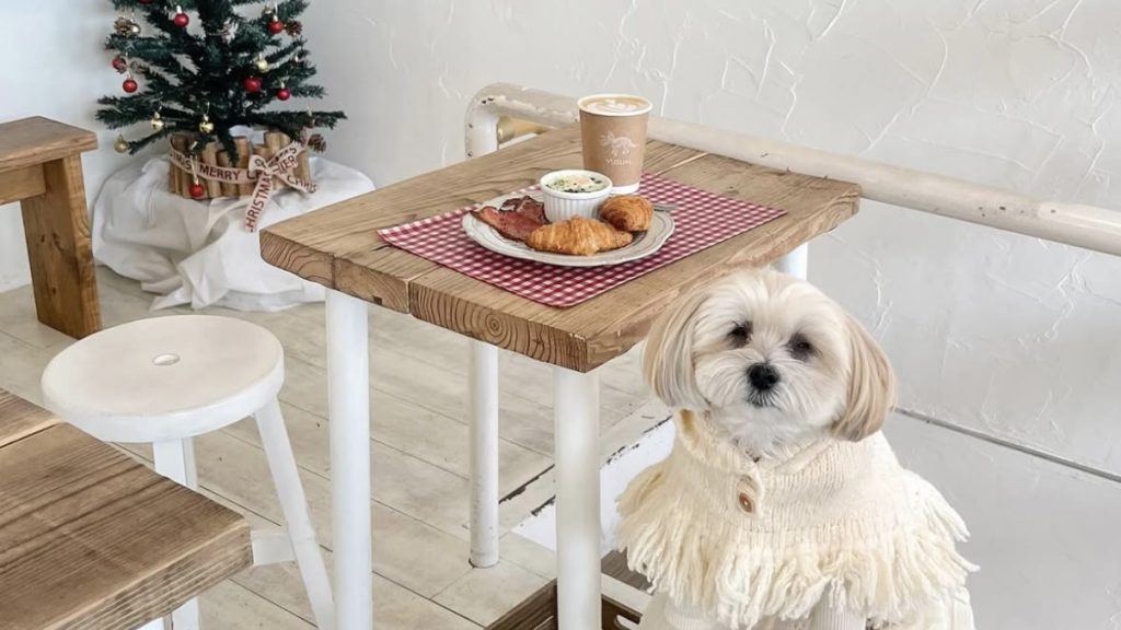 YUSUAL (ユージュアル)