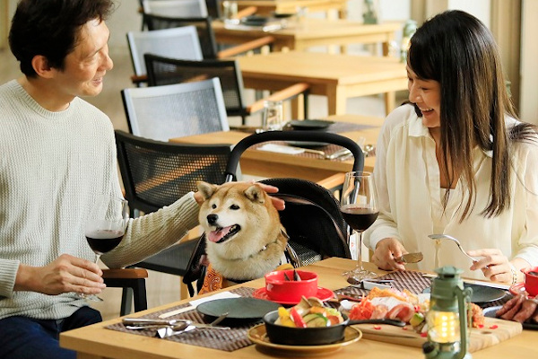 スライダー画像