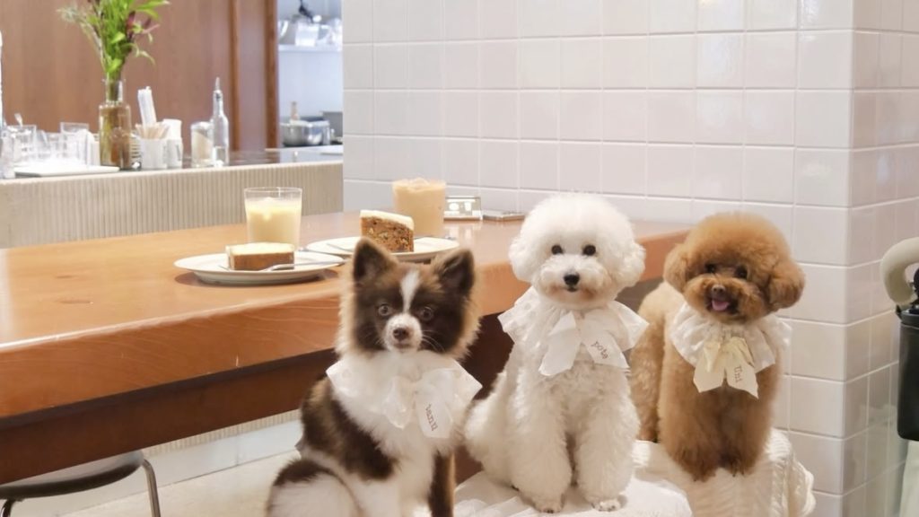 VERVE COFFEE ROASTERS YOYOGI PARK