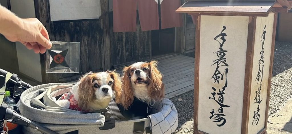 江戸ワンダーランド(日光江戸村) 