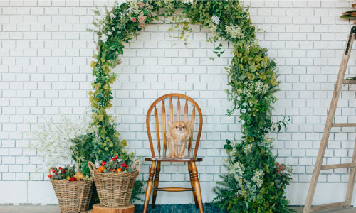 スライダー画像