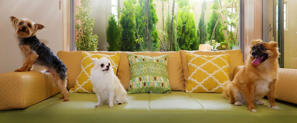 スライダー画像