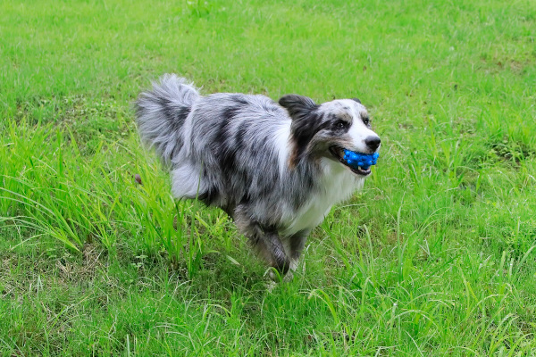 スライダー画像