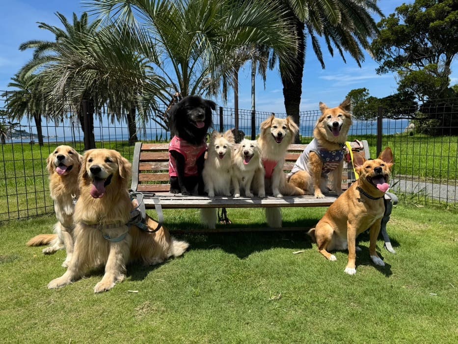 スライダー画像