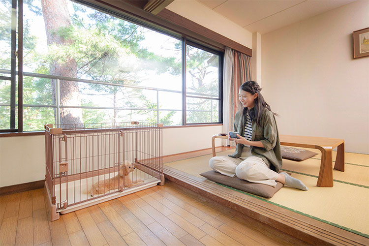 スライダー画像