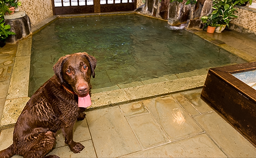 スライダー画像