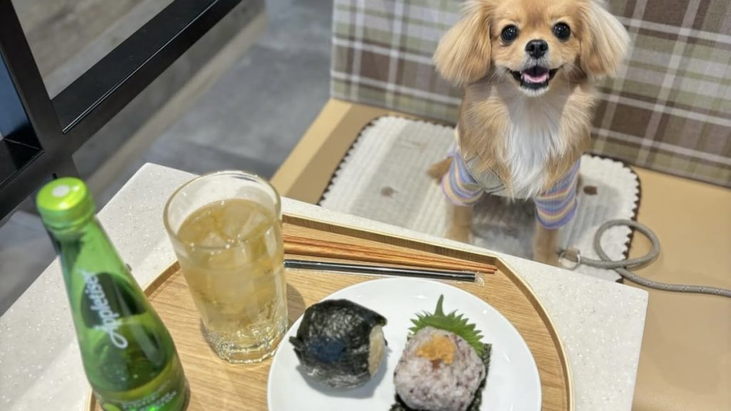 Onigily Cafe 代々木公園店