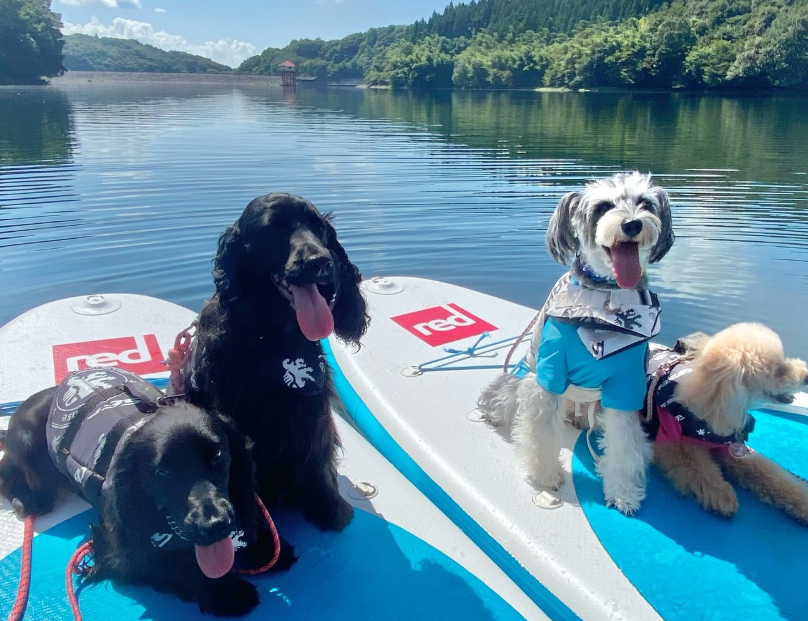 Spesアクティビティ那須