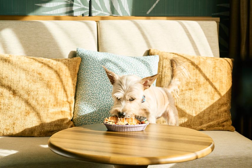 スライダー画像