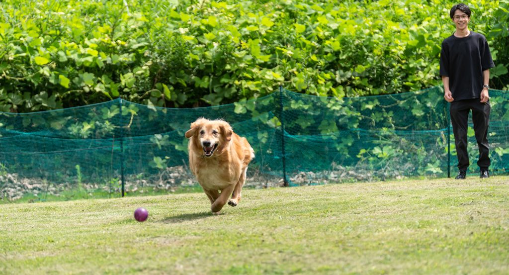 スライダー画像