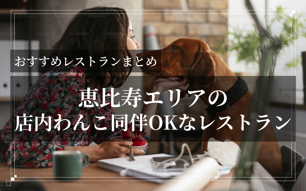 メインビジュアル