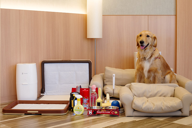 スライダー画像