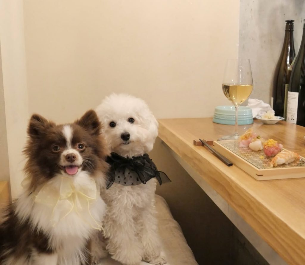 鮨 たつ也 よしかわ