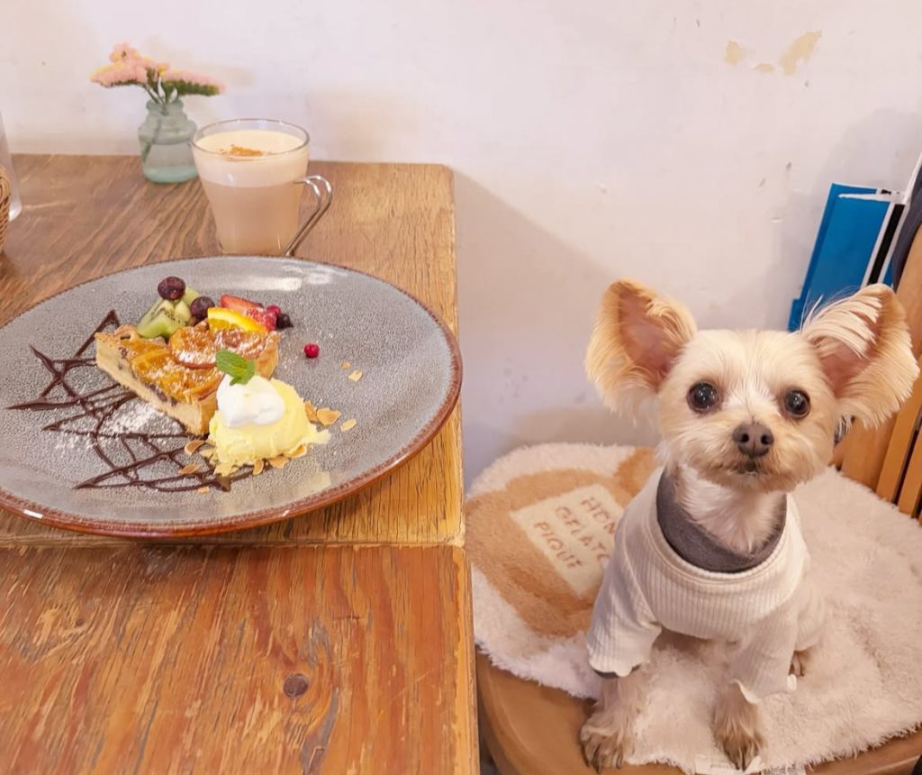 テイストアンドセンス