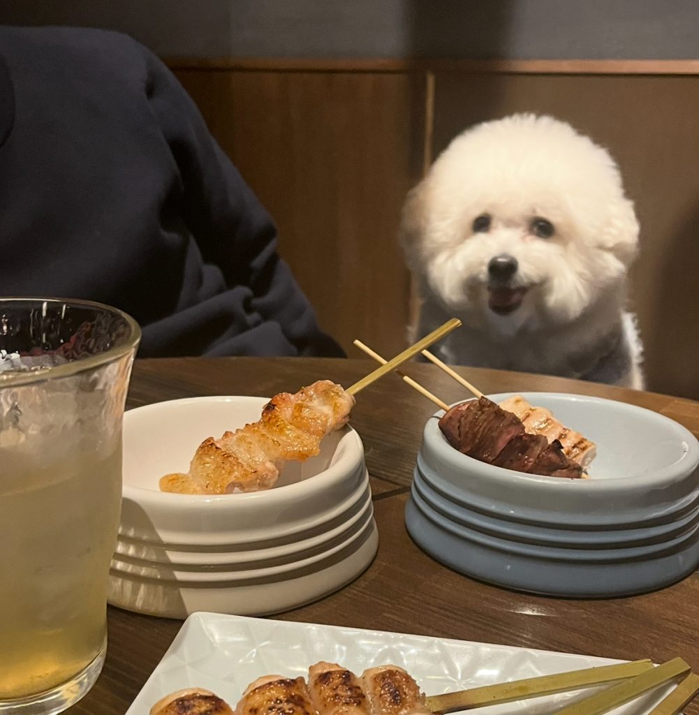 焼鳥 佐田十郎 中目黒 