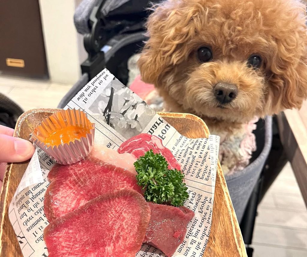 肉菜工房うしすけ 台場店