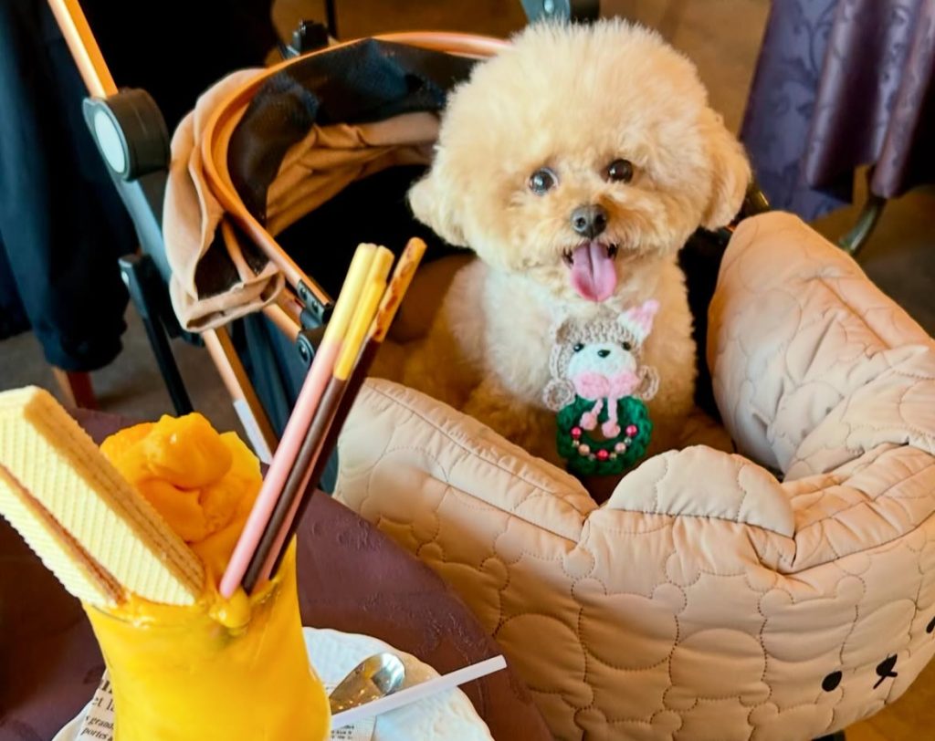 Seaside Café SOLARIS