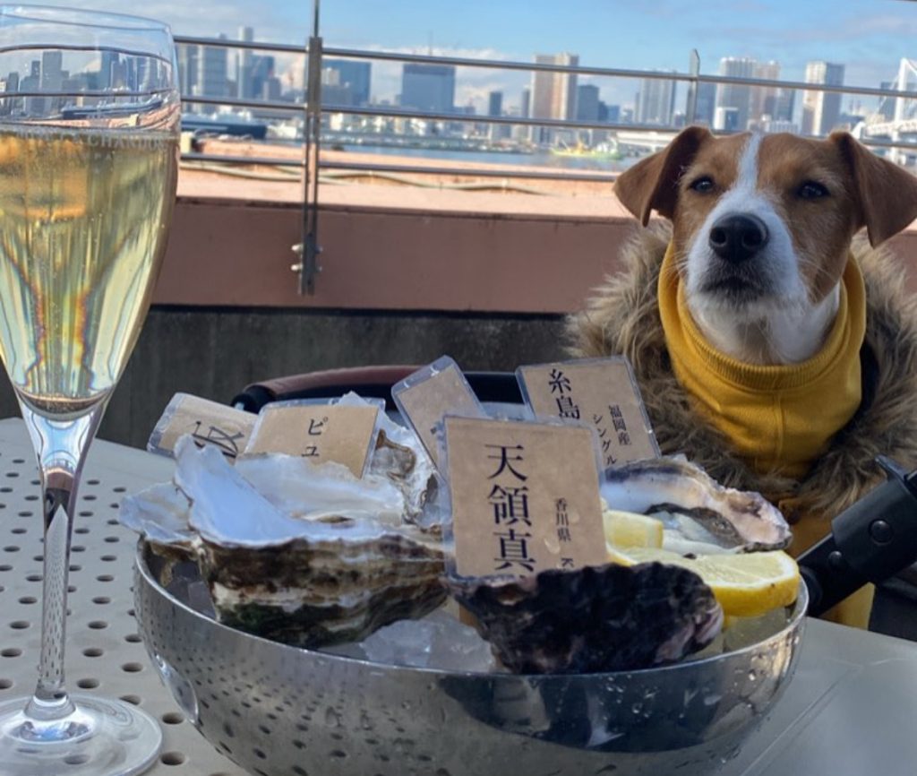 オイスターハウス お台場店