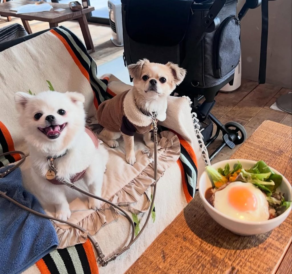 ボンダイカフェ（BONDI CAFE）