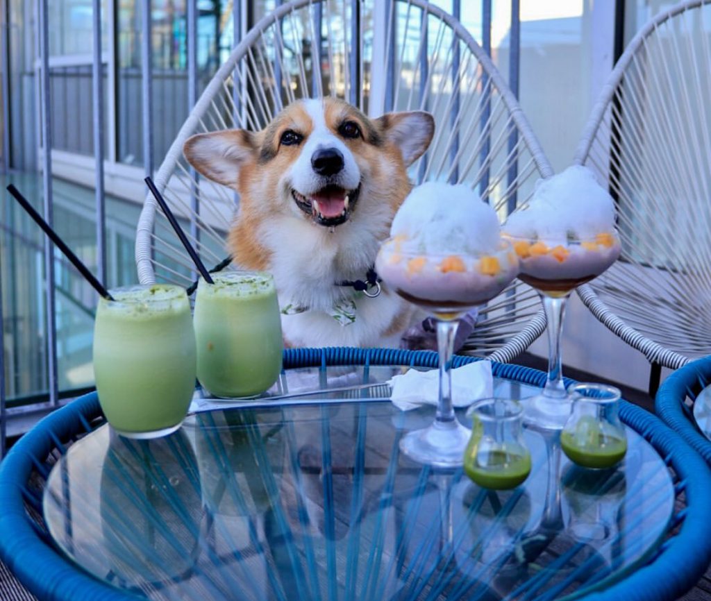 パンとエスプレッソと自由形