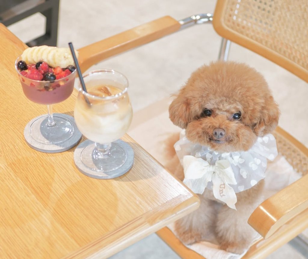 MINIMAL MAAT COFFEE 自由が丘店