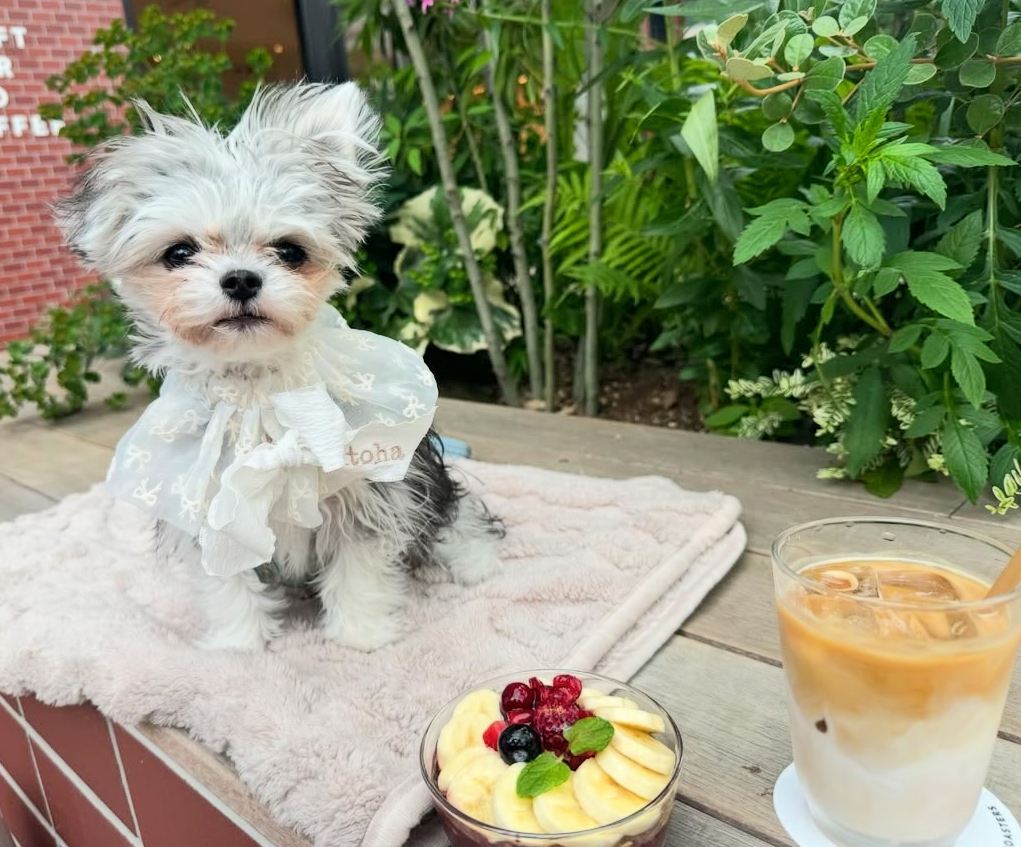 ALPHA BETA COFFEE CLUB 自由ヶ丘コンコード店