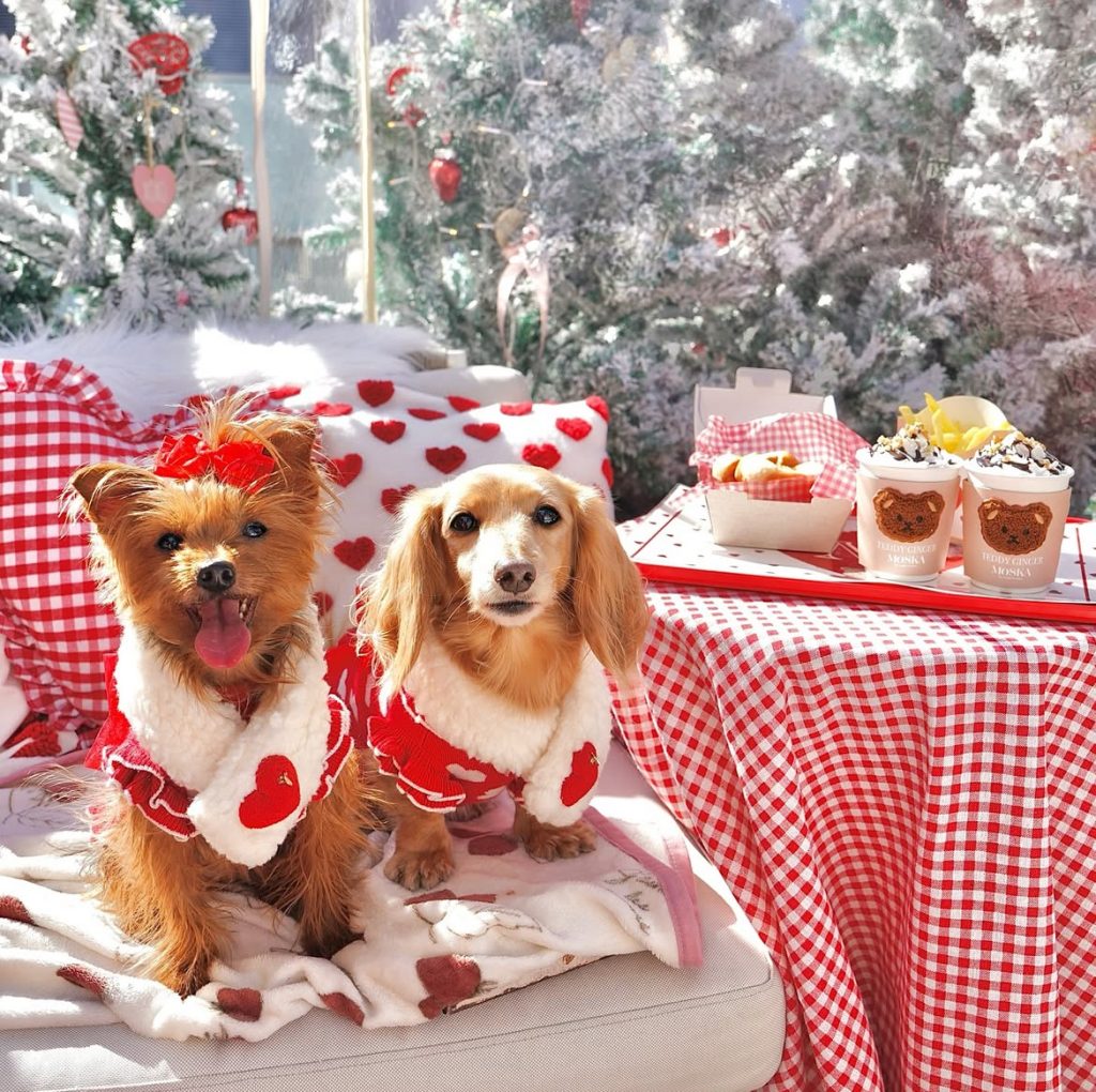 MOSKA by GingerGarden