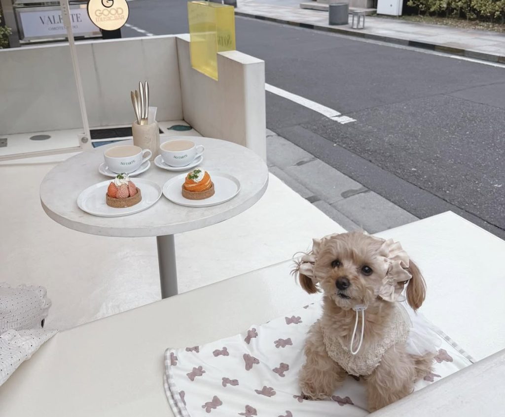 SO TARTE　表参道店