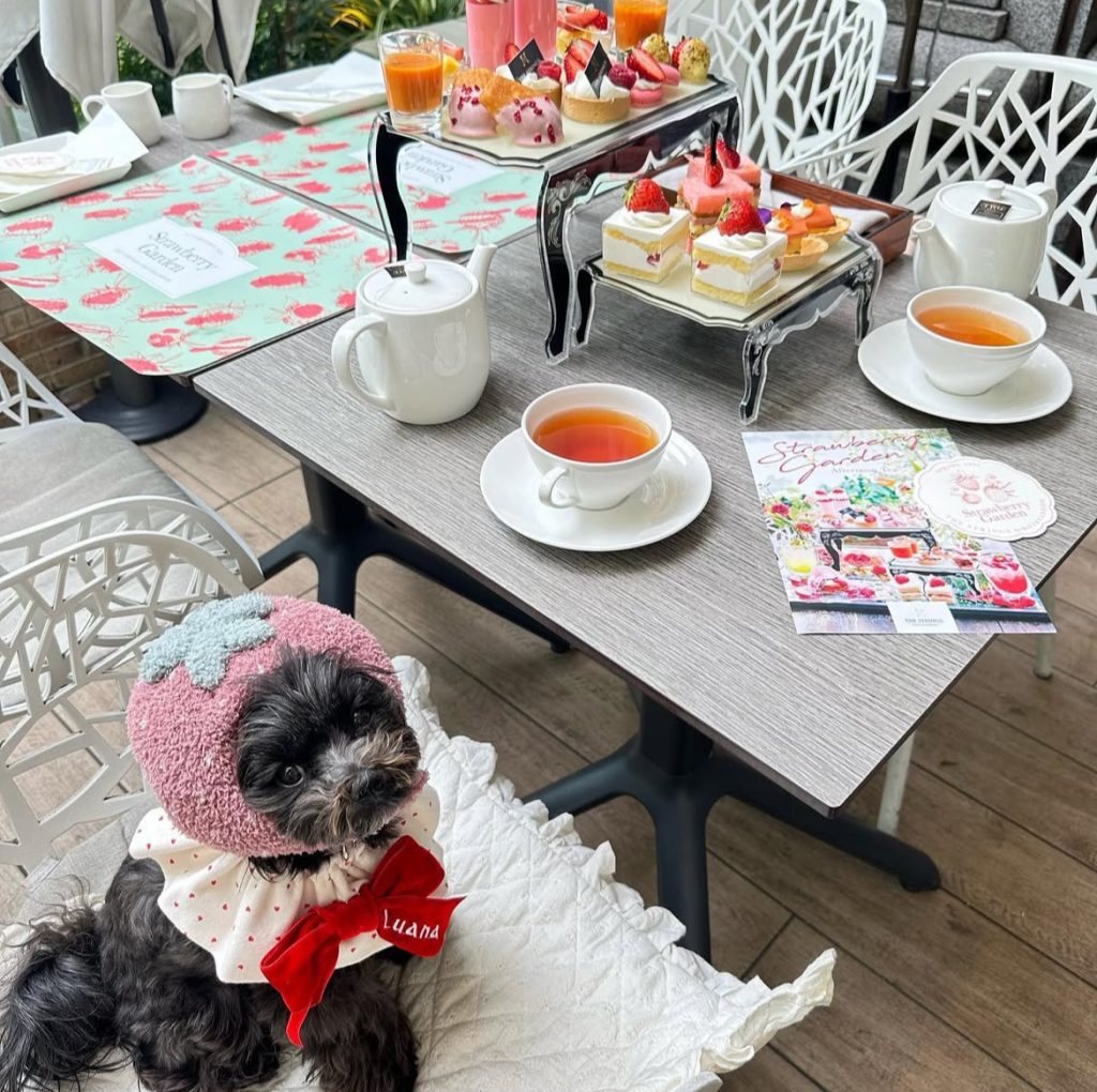 カフェ＆ダイニング ゼルコヴァ