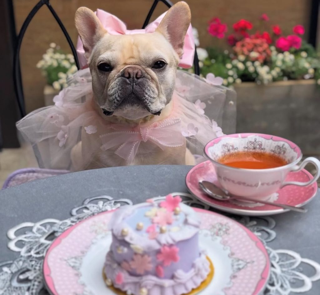 ドルチェマリリッサ 表参道