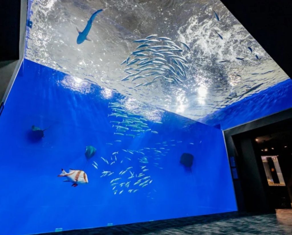 足摺海洋館 SATOUMI