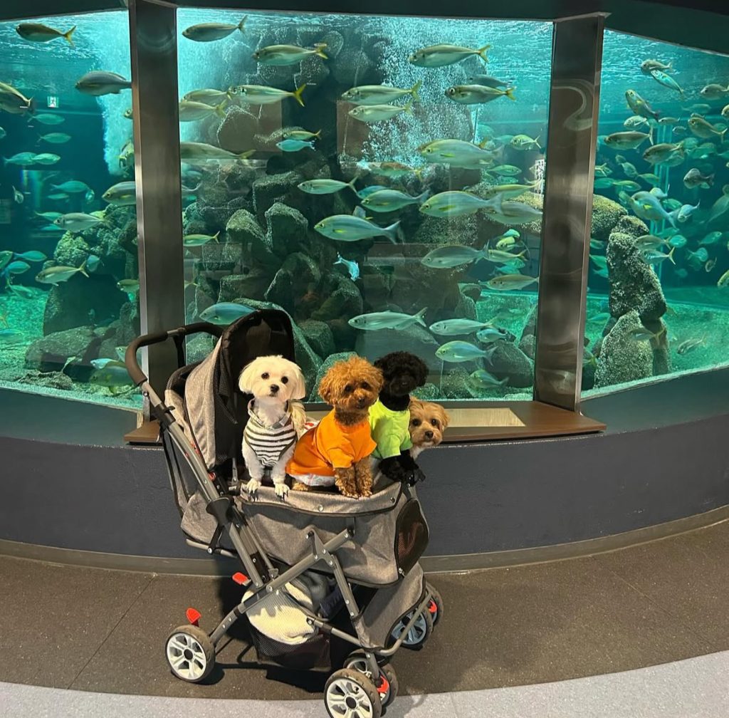 京都大学白浜水族館