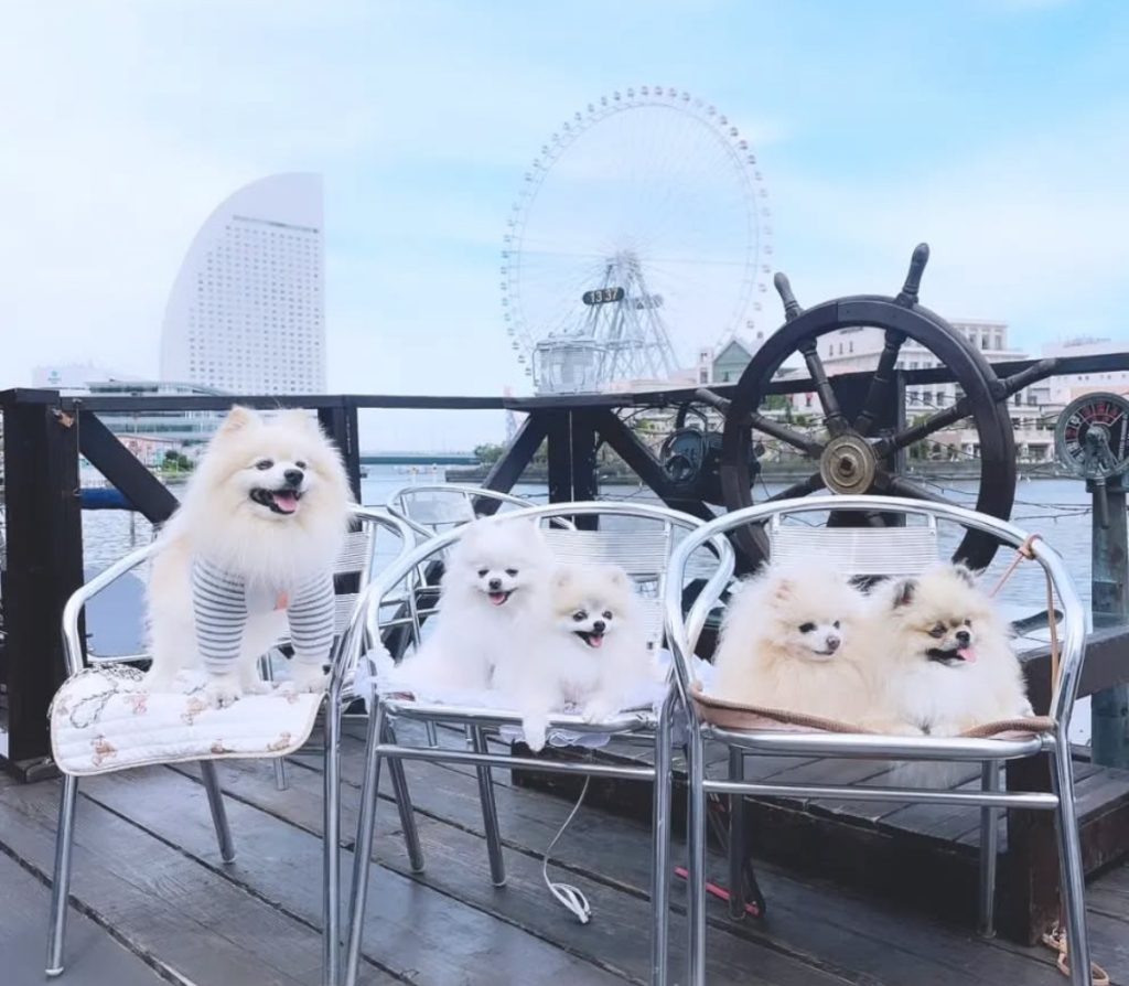 ヘミングウェイ 横浜