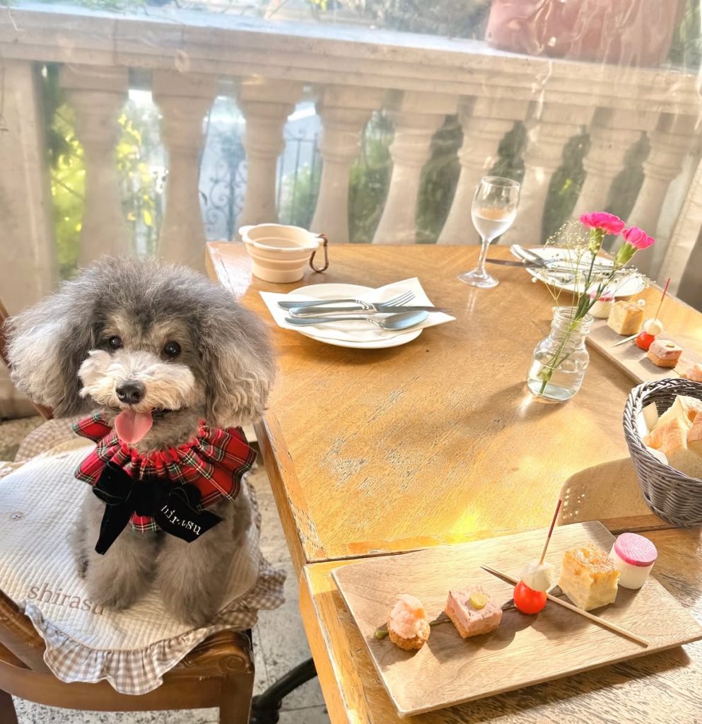 表参道バンブー